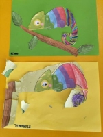 Zdjęcie: Kameleon