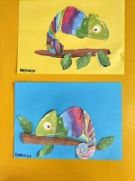 Zdjęcie: Kameleon