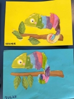 Zdjęcie: Kameleon