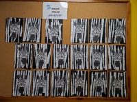 Zdjęcie: zebra