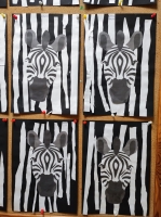 Zdjęcie: zebra