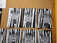 Zdjęcie: zebra