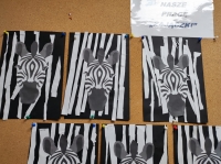 Zdjęcie: zebra