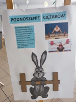 Zdjęcie: Festiwal Sportu