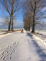 Zdjęcie: Zima zima zima pada pada śnieg ....⛄️❄️⛄️❄️