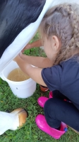 Zdjęcie: FESTYN Z OKAZJI POŻEGNANIA LATA