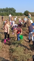 Zdjęcie: FESTYN Z OKAZJI POŻEGNANIA LATA