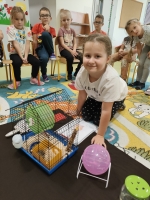 Zdjęcie: DOMOWI ULUBIEŃCY W PRZEDSZKOLU