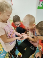 Zdjęcie: DOMOWI ULUBIEŃCY W PRZEDSZKOLU