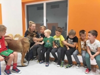 Zdjęcie: Spotkanie z policją.
