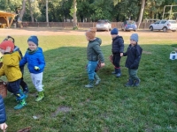 Zdjęcie: Wykopki.