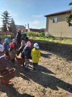 Zdjęcie: Wykopki.