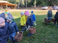 Zdjęcie: Wykopki.