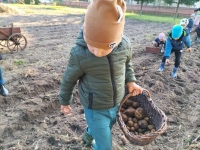 Zdjęcie: Wykopki.