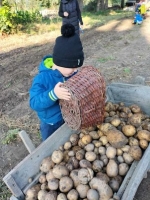 Zdjęcie: Wykopki.