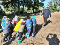 Zdjęcie: Wykopki.