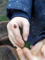Zdjęcie: Wykopki.