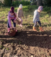 Zdjęcie: Wycieczka do Wilkowic-