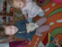 Zdjęcie: DOMOWI ULUBIEŃCY