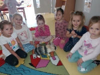 Zdjęcie: DOMOWI ULUBIEŃCY