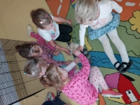 Zdjęcie: DOMOWI ULUBIEŃCY