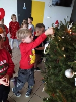 Zdjęcie: Choinka.