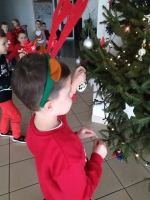 Zdjęcie: Choinka.