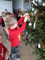 Zdjęcie: Choinka.