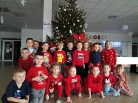 Zdjęcie: Choinka.