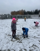 Zdjęcie: Pierwszy śnieg -
