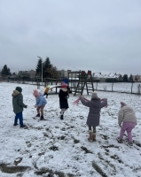 Zdjęcie: Pierwszy śnieg -