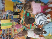 Zdjęcie: 