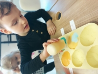 Zdjęcie: 