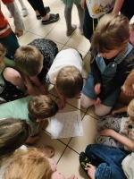 Zdjęcie: POSZUKIWANIE KOSZYCZKÓW WIELKANOCNYCH