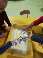 Zdjęcie: W świecie dinozaurów