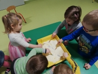 Zdjęcie: W świecie dinozaurów