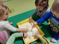 Zdjęcie: W świecie dinozaurów
