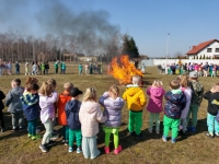 Zdjęcie: WIOSNA, ACH TO TY!