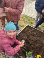 Zdjęcie: Sadzimy kwiaty