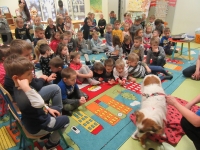 Zdjęcie: Schronisko dla zwierząt