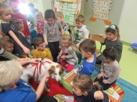 Zdjęcie: Schronisko dla zwierząt