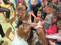 Zdjęcie: Schronisko dla zwierząt