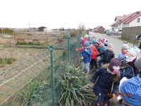 Zdjęcie: 21 marzec