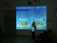 Zdjęcie: Przywołujemy wiosnę