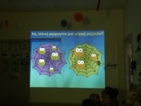 Zdjęcie: Przywołujemy wiosnę