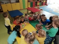 Zdjęcie: W marcu jak w garncu