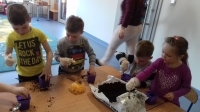 Zdjęcie: Mini ogródek