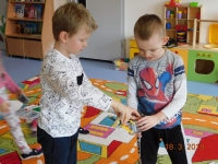 Zdjęcie: Projekt