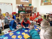 Zdjęcie: Zajęcia