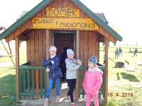 Zdjęcie: Wielkanocny zajączek w Kluczewie